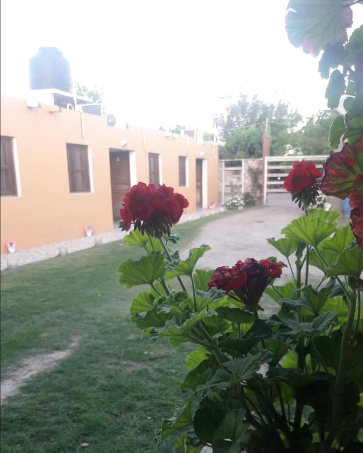 Hotel Posada El Cardon San Agustín de Valle Fértil Εξωτερικό φωτογραφία