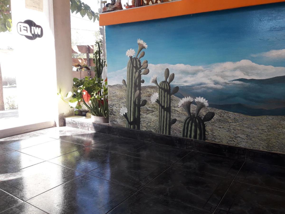 Hotel Posada El Cardon San Agustín de Valle Fértil Εξωτερικό φωτογραφία